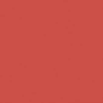 King Of Paradise Paint